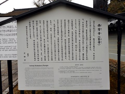 kokedera010.jpg