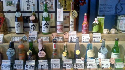 fushimi-sake13.jpg