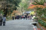 kinnkakuji003.jpg