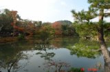 kinnkakuji018.jpg