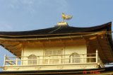 kinnkakuji022.jpg