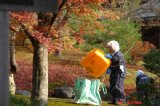 kinnkakuji025.jpg