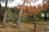 kinnkakuji032.jpg