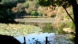 20131106092959-766.jpg