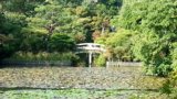 20131106093205-669.jpg