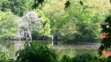 20150426_110644.jpg